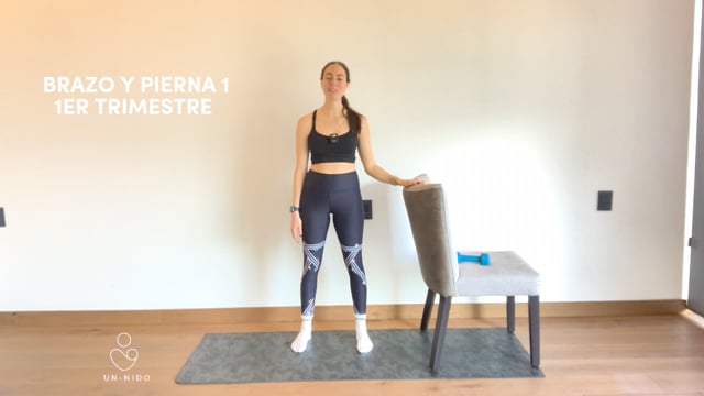 1er Trimestre: Brazo y Pierna #1