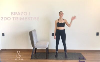 2do Trimestre: Brazo #1