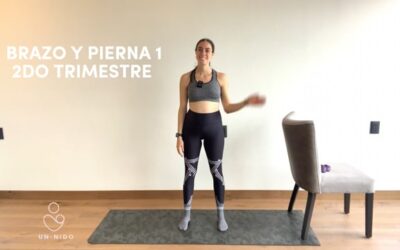 2do Trimestre: Brazo y Pierna #1