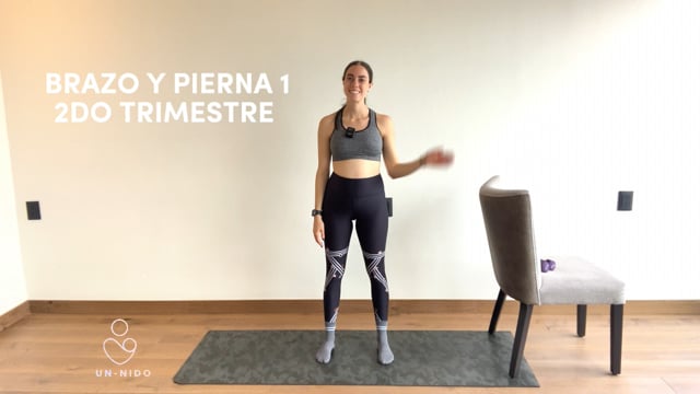 2do Trimestre: Brazo y Pierna #1