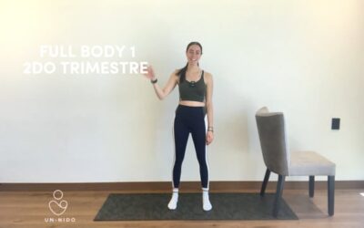 2do Trimestre: Fullbody #1