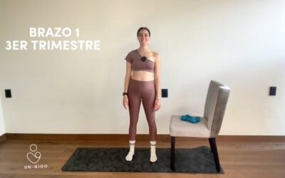 3er Trimestre: Brazo #1