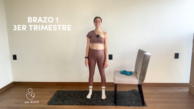 3er Trimestre: Brazo #1