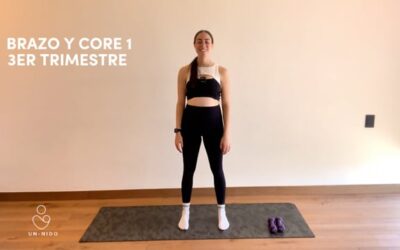 3er Trimestre: Brazo y Core