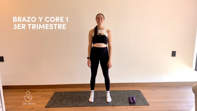 3er Trimestre: Brazo y Core