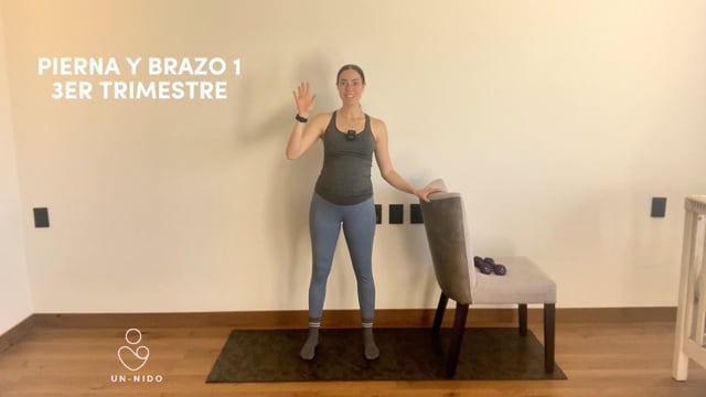 3er Trimestre: Brazo y Pierna #1