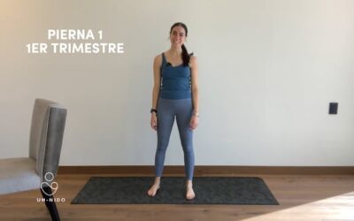 1er Trimestre: Pierna #1