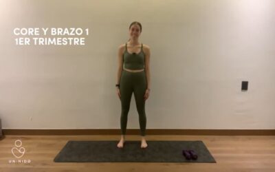 1er Trimestre: Brazo y Core #1
