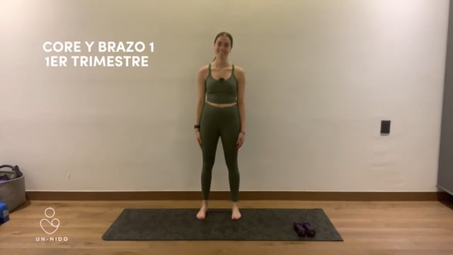 1er Trimestre: Brazo y Core #1