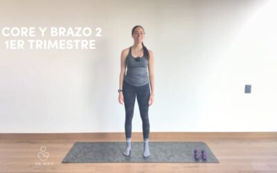 1er Trimestre: Brazo y Core #2
