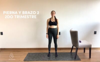 2do Trimestre: Brazo y Pierna #2