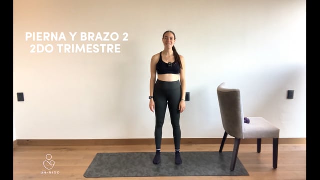 2do Trimestre: Brazo y Pierna #2