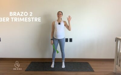 3er Trimestre: Brazo #2