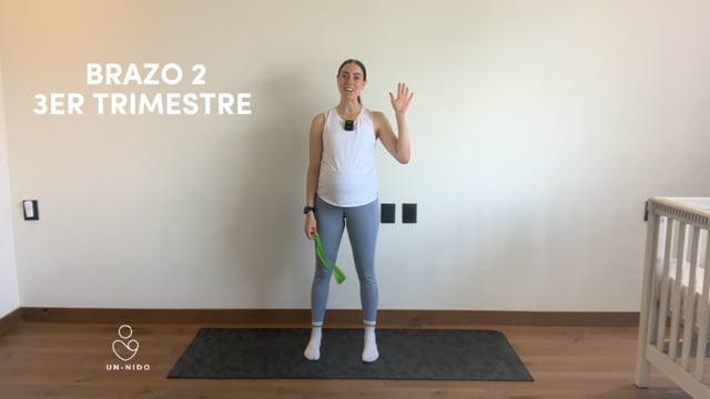 3er Trimestre: Brazo #2