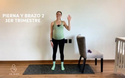3er Trimestre: Brazo y Pierna #2