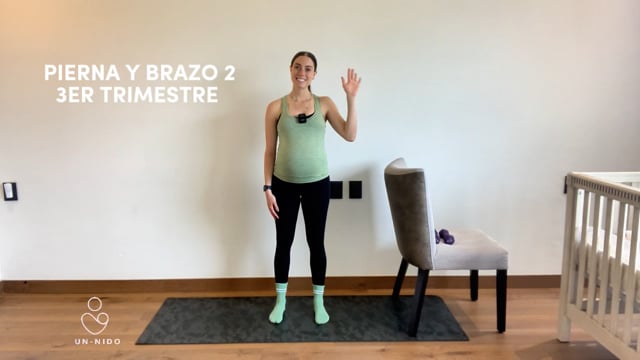 3er Trimestre: Brazo y Pierna #2