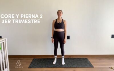 3er Trimestre: Pierna y Core
