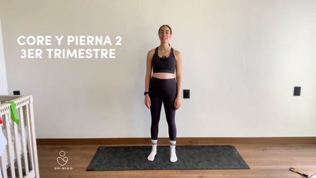 3er Trimestre: Pierna y Core