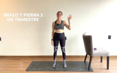 1er Trimestre: Brazo y Pierna #2