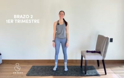 1er Trimestre: Brazo #2