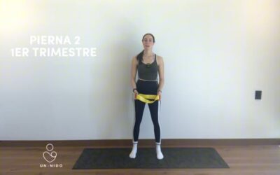 1er Trimestre: Pierna #2