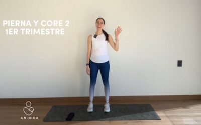 1er Trimestre: Pierna y Core