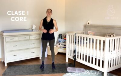 Posparto 6: Clase Core #1