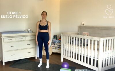 Posparto 5: Clase Suelo Pélvico