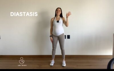 3er Semestre: Diastasis