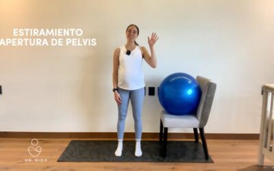 Estiramiento Pelvis